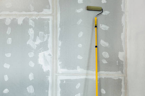 Mold Odor Removal Services in Butte, AK