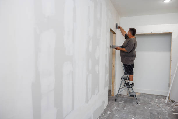 Best Post-Construction Mold Inspection  in Butte, AK