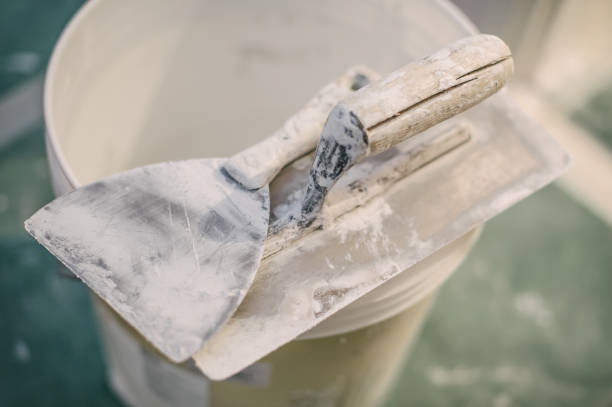 Professional Mold Removal in Butte, AK